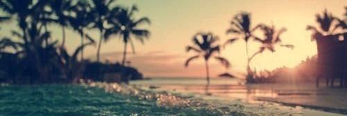 e_sulim's profile banner image