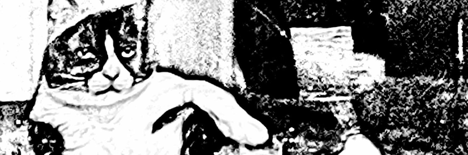 joeypfeifer's profile banner image