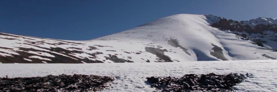 Georgia Davis banner