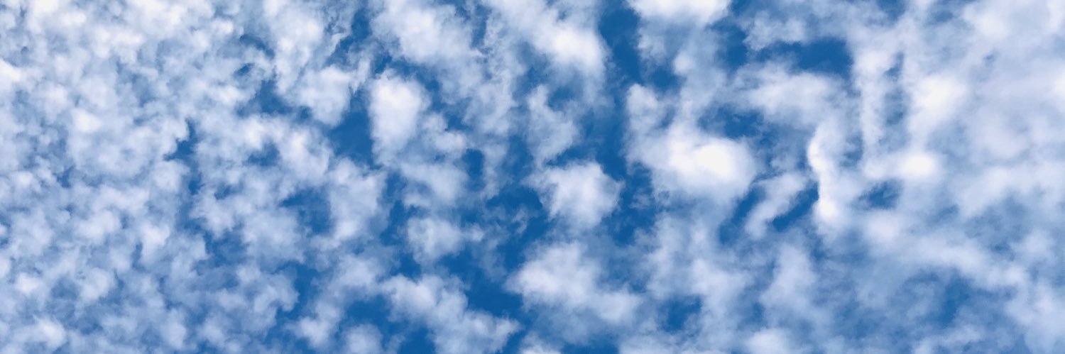 Zuleheval's profile banner image