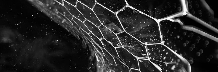 alfonso_1692's profile banner image