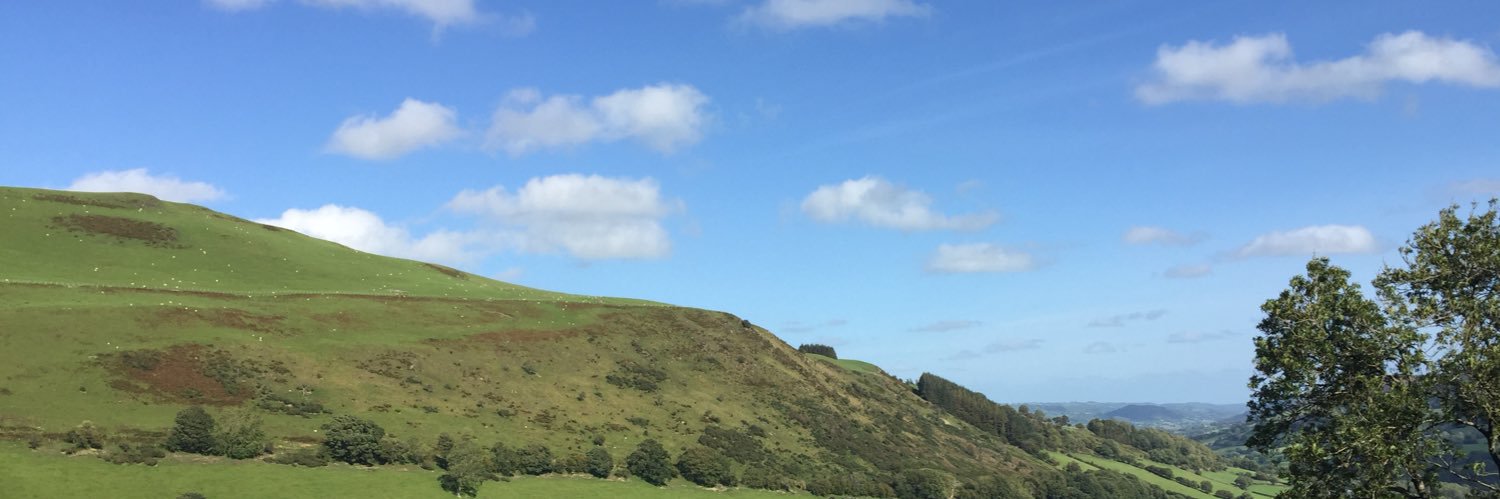 Dr Michelle Thomas banner