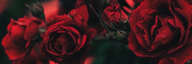 CandyMarieeee's profile banner image
