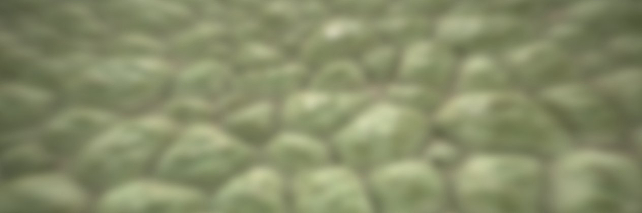 Cust banner