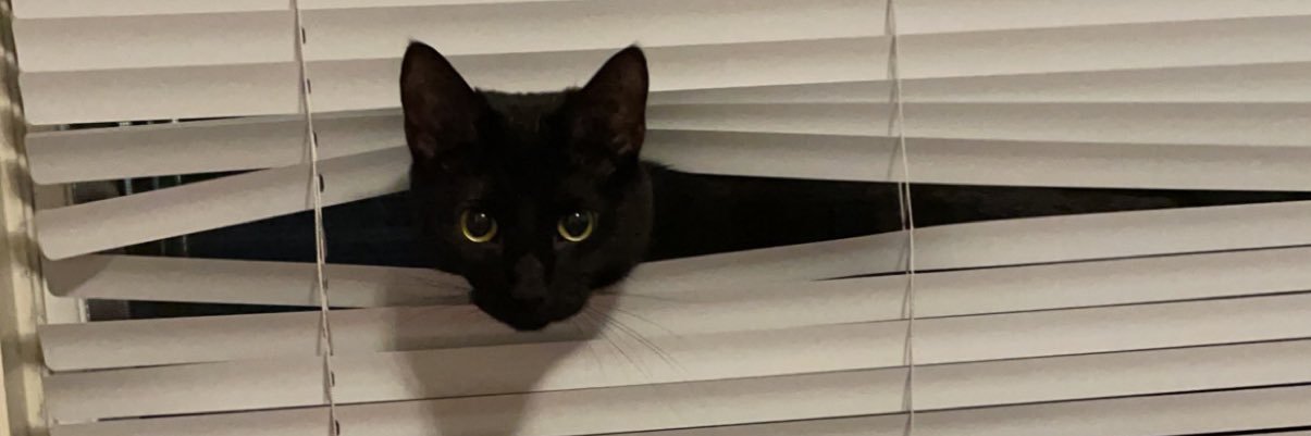 Bri banner
