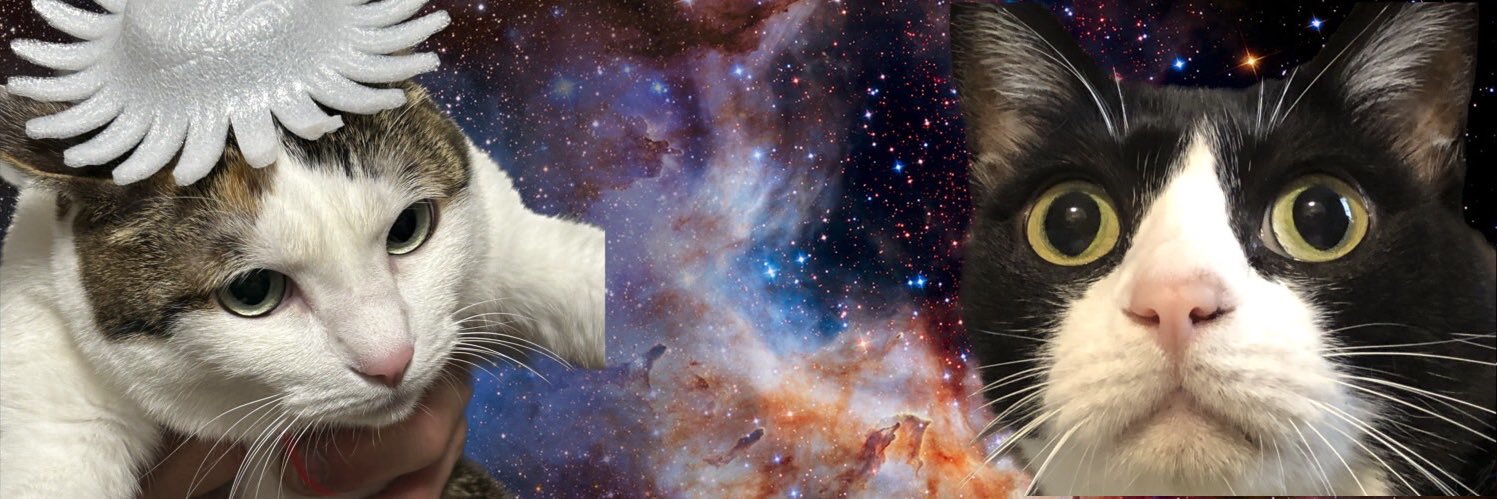 🐈久江🐈 banner