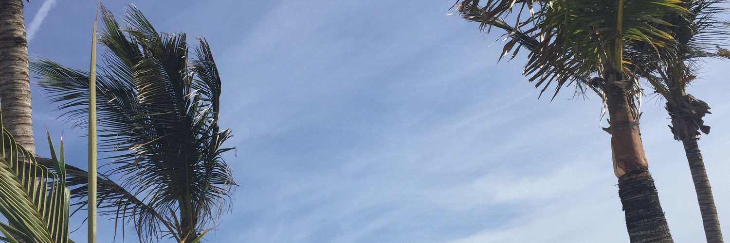 CotterHayley's profile banner image