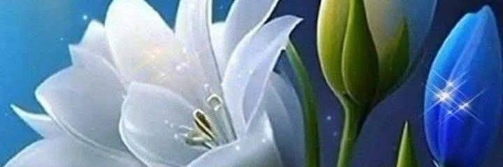 adrianolopes77's profile banner image