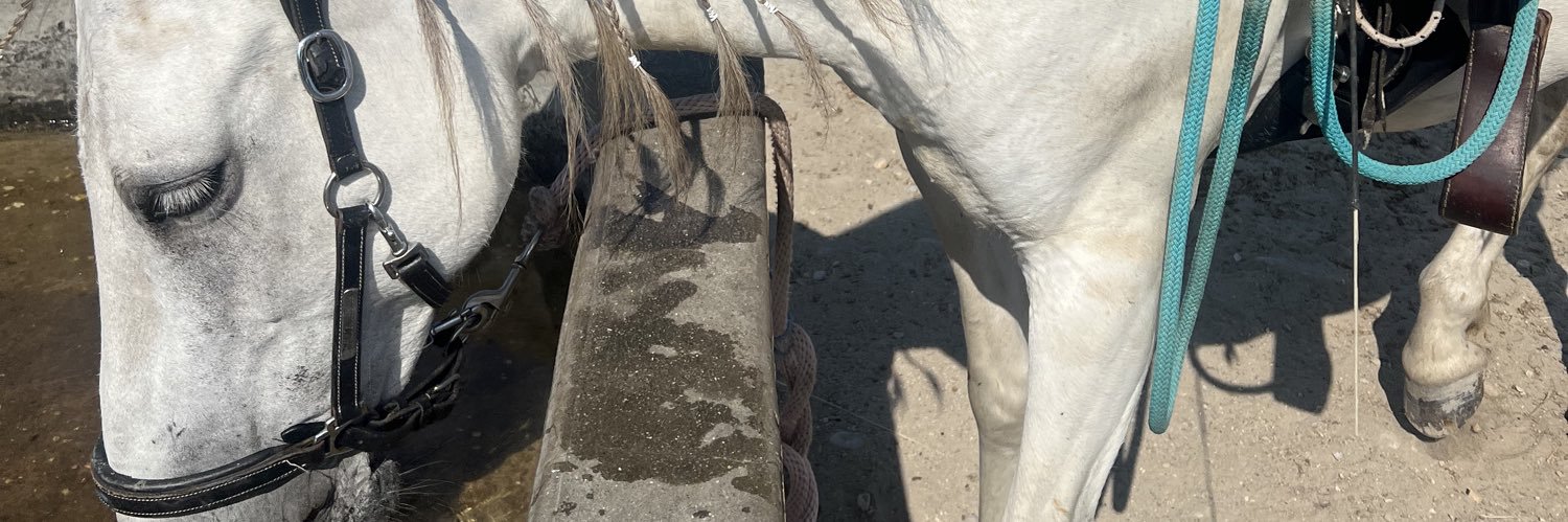 madisonrose93x's profile banner image