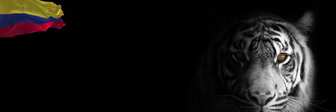 hosorio08's profile banner image