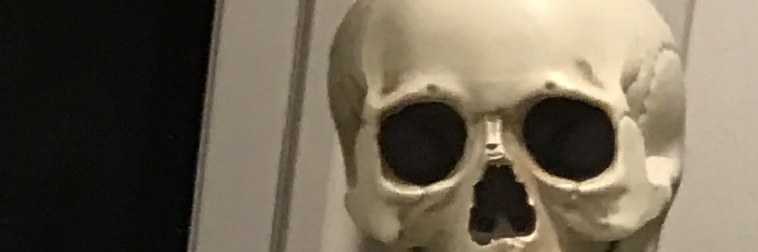 TruthBySkelliam's profile banner image