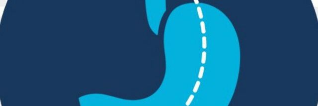 TelegramTkmem's profile banner image