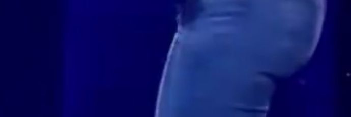 NickiFlopsAgain banner