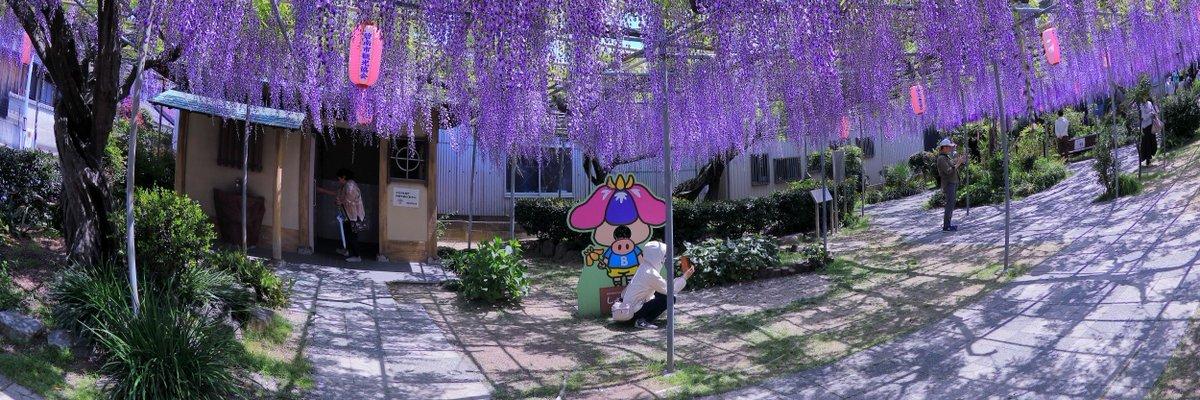 jakebryan18's profile banner image