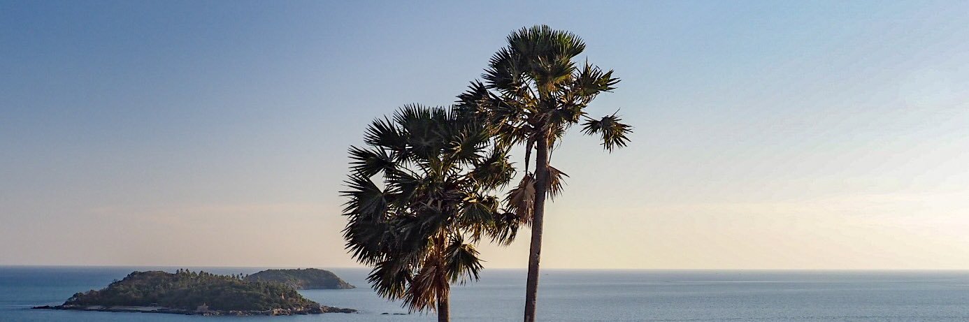 Thomas Hansen banner