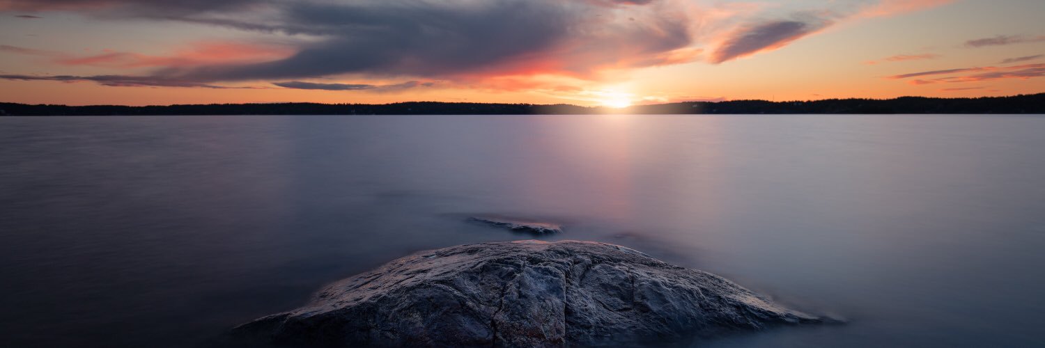 Daniel Singbot banner