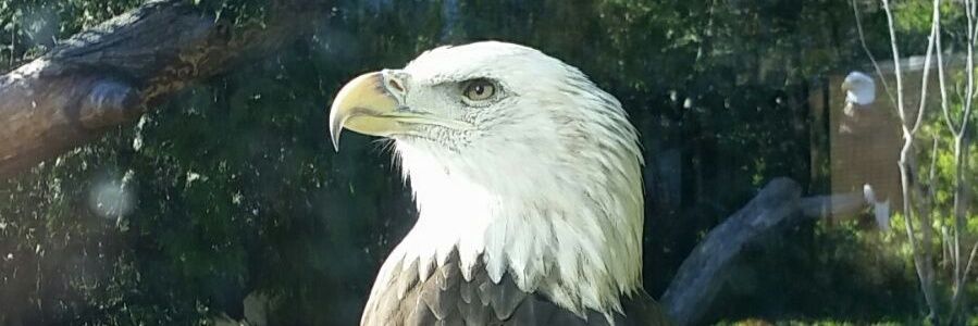 tre_hickman's profile banner image