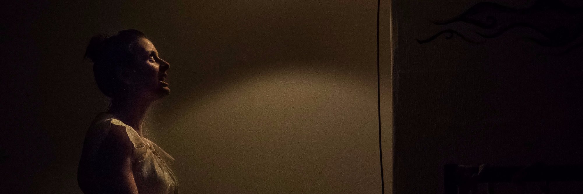 Performing Light banner