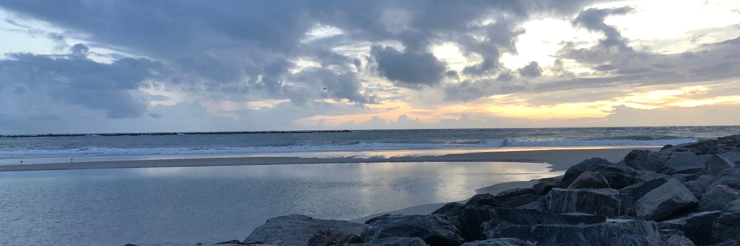 Ryan McDonald banner