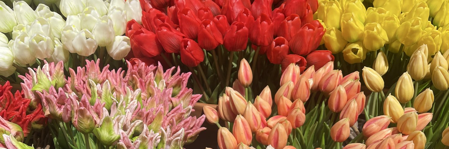 jamie 🏳️‍🌈 banner