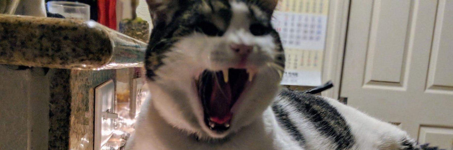 katcat___'s profile banner image