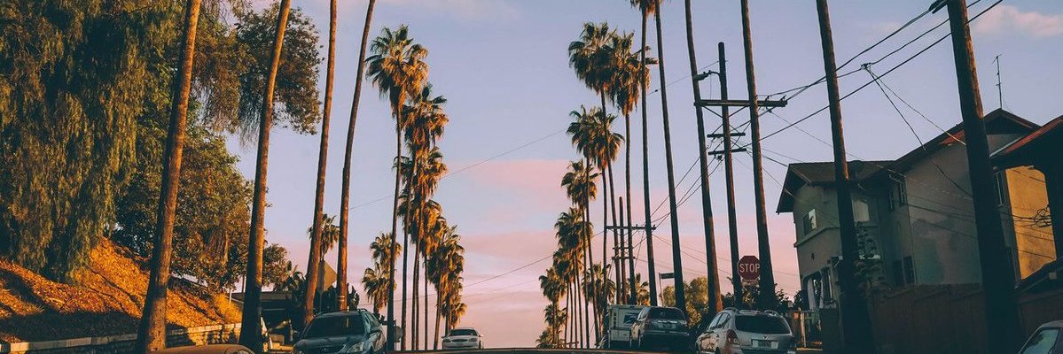сайгак banner