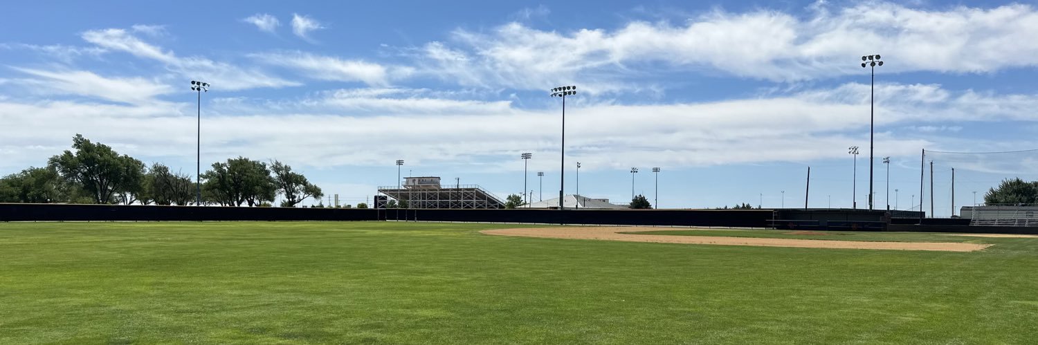 DUMAS DEMON BASEBALL banner