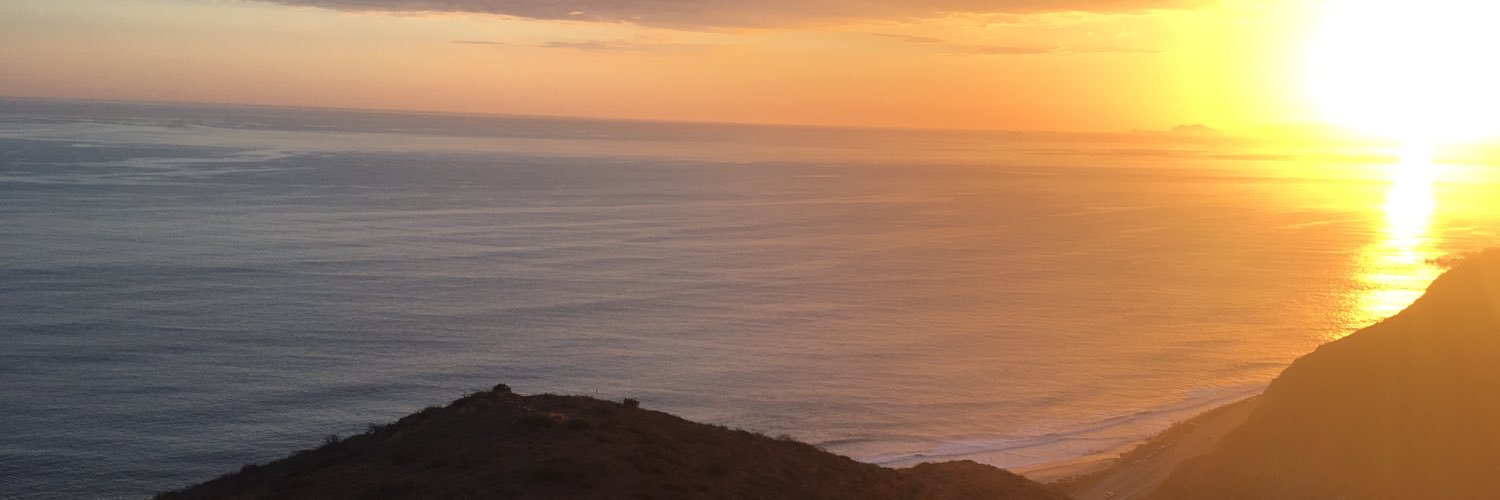 MissCleoDanger banner
