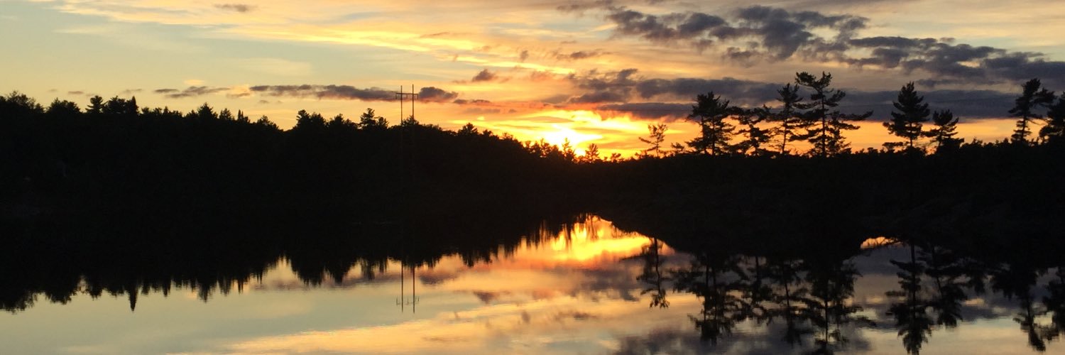 stefanievallee's profile banner image