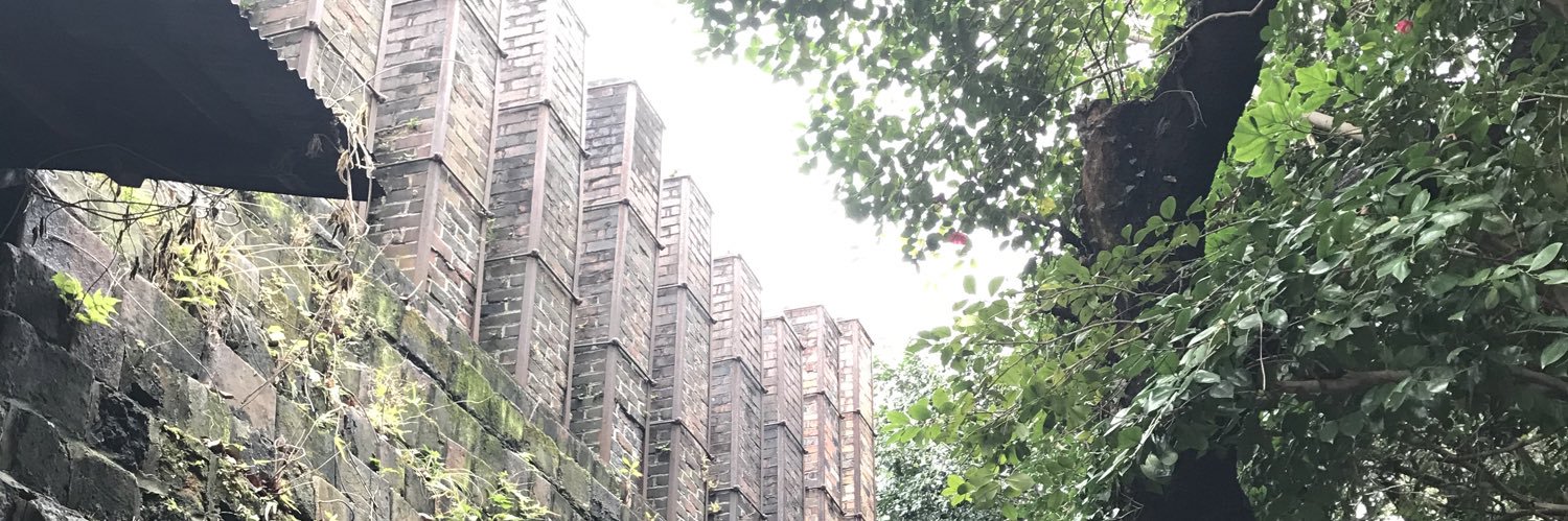 けろ子=ピスタチオ (ΦωΦ） banner