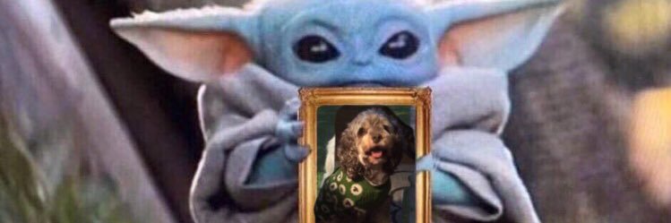 bmendezzz's profile banner image