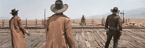 More Guns Less Government banner