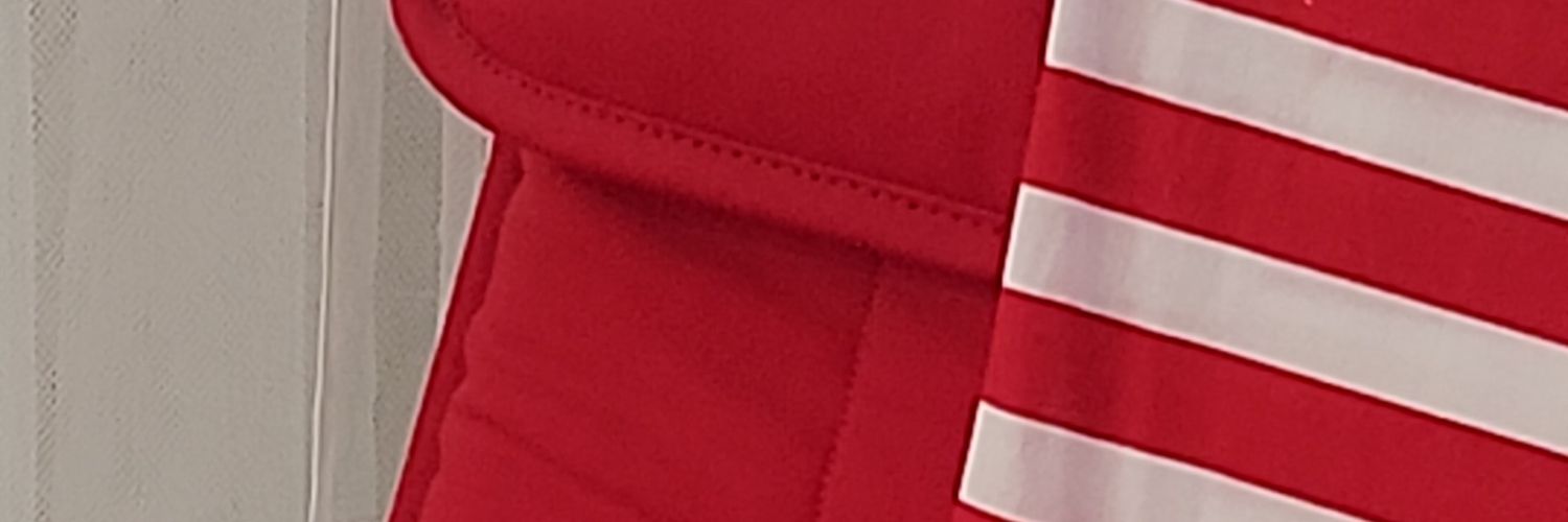 CherryEOrtega's profile banner image