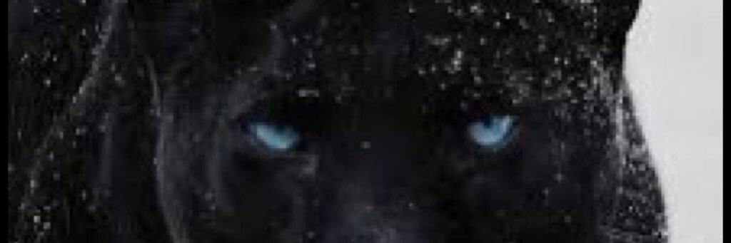 Young Berserk banner