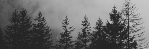 Cactus_Lordi's profile banner image