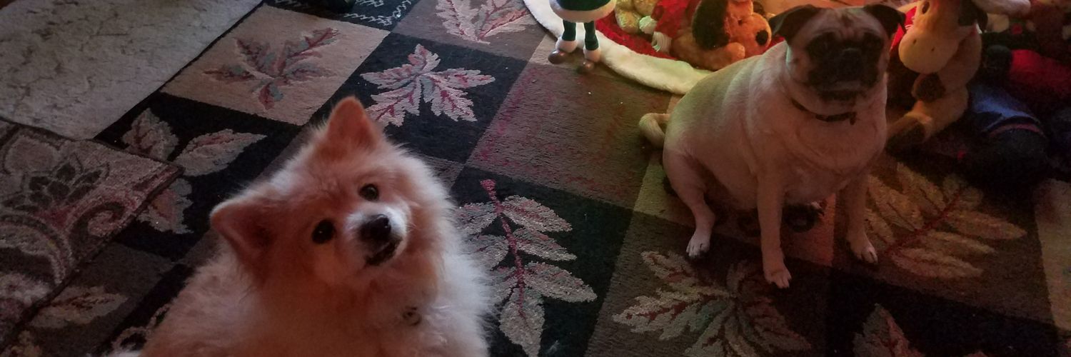 DAWNREFBRANDON's profile banner image