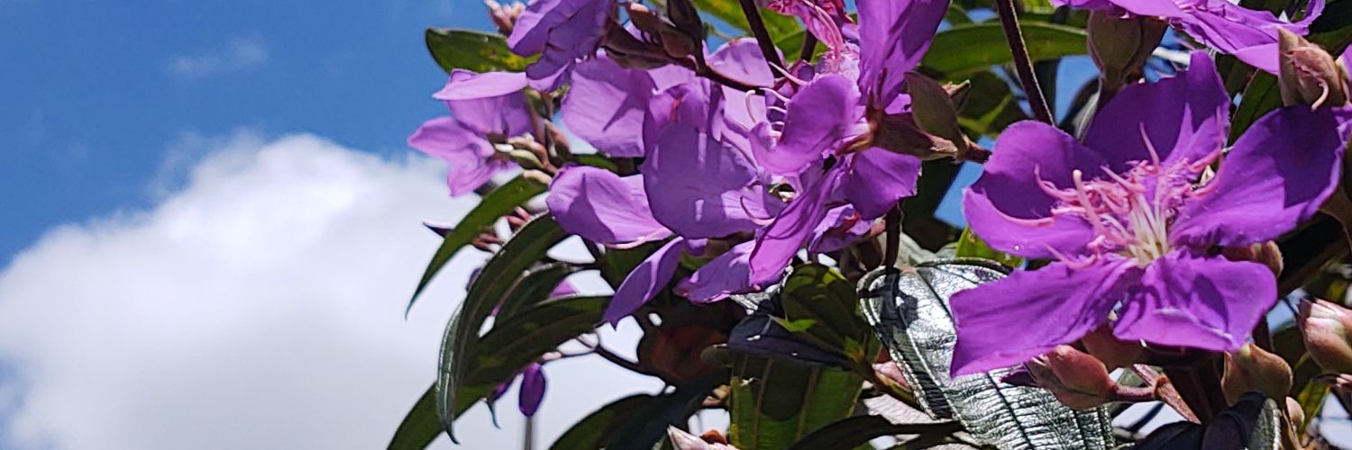 annagfb's profile banner image