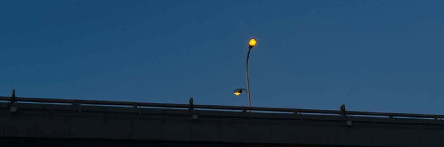 lilyko233 banner