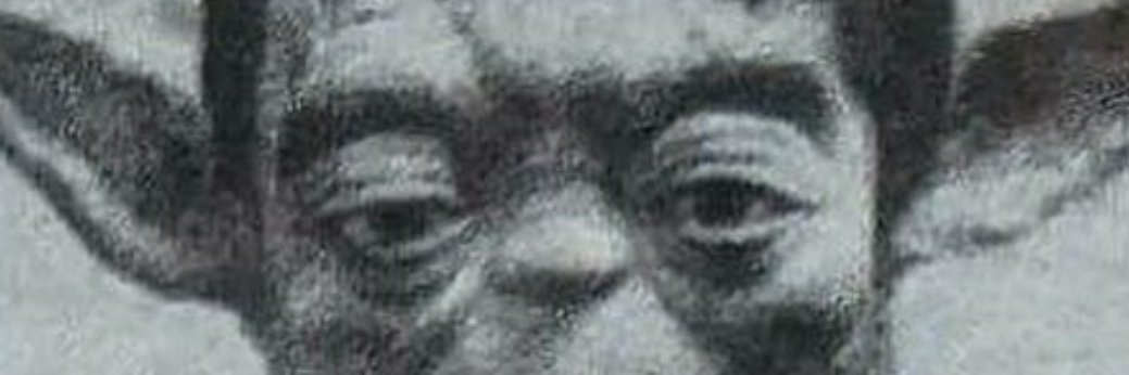 Duckysdood's profile banner image