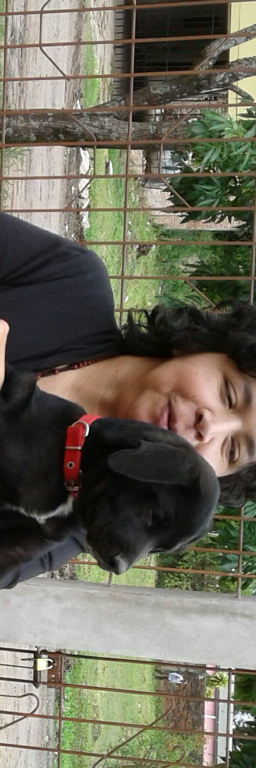 alesanchezchaco's profile banner image