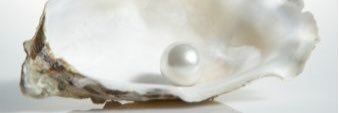 upabove_blog's profile banner image