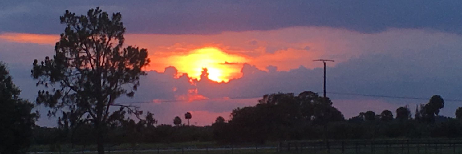 Jessica Napier banner