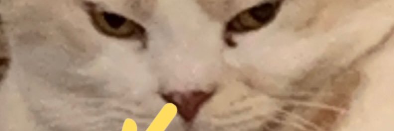paper_pubgm's profile banner image