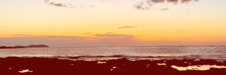 Hannah_Walshx's profile banner image