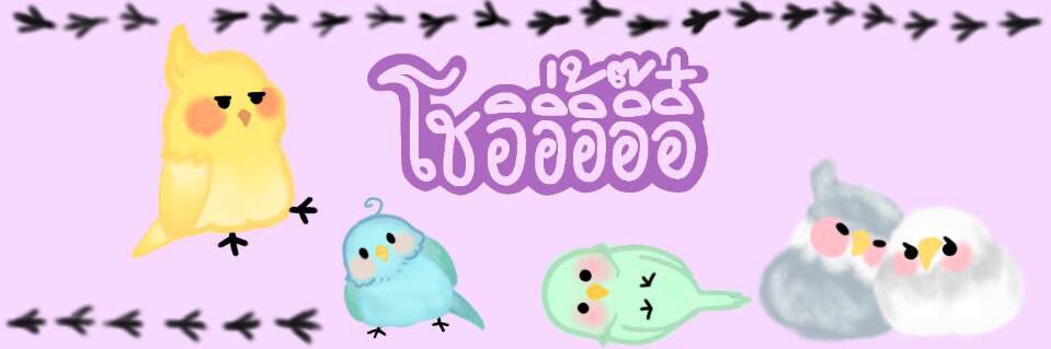 โชอิ 🍒 banner
