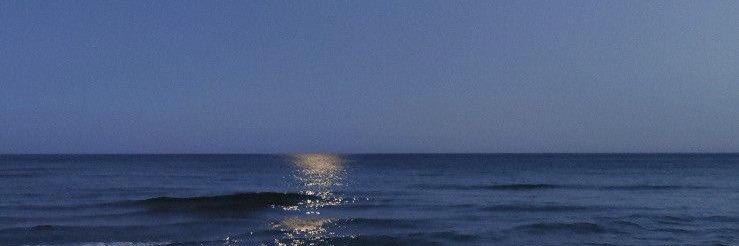 trippyolo's profile banner image
