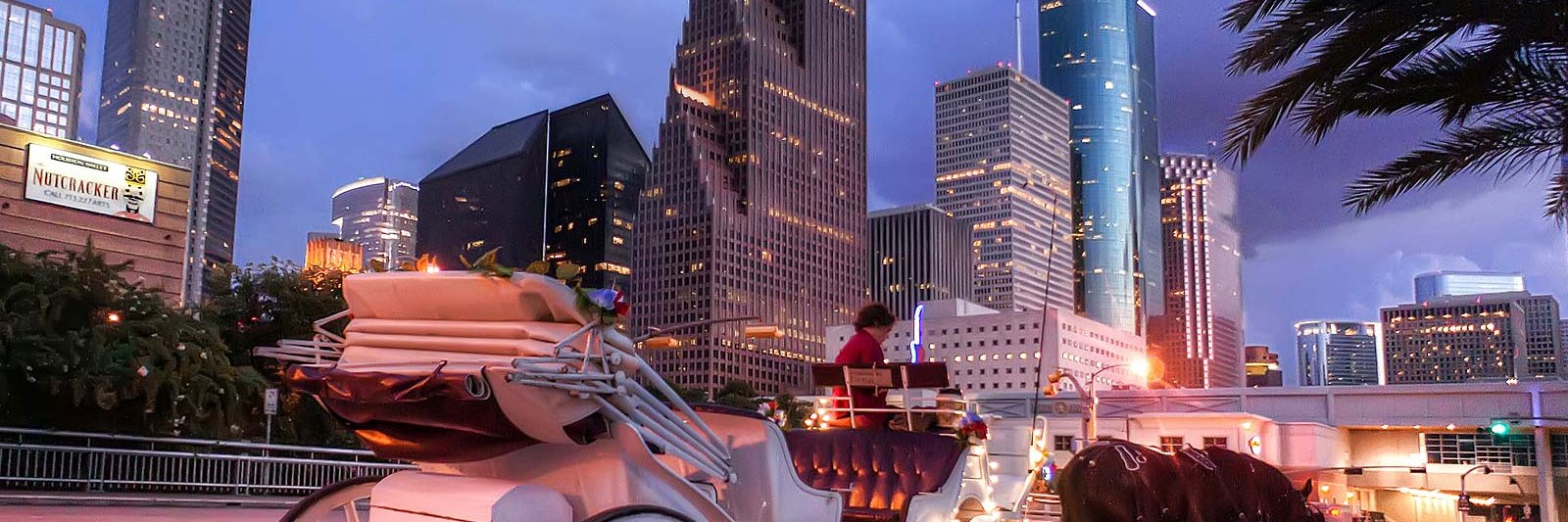 Patti Richardson banner