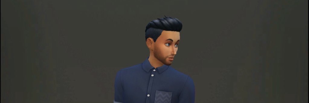 Rafael banner