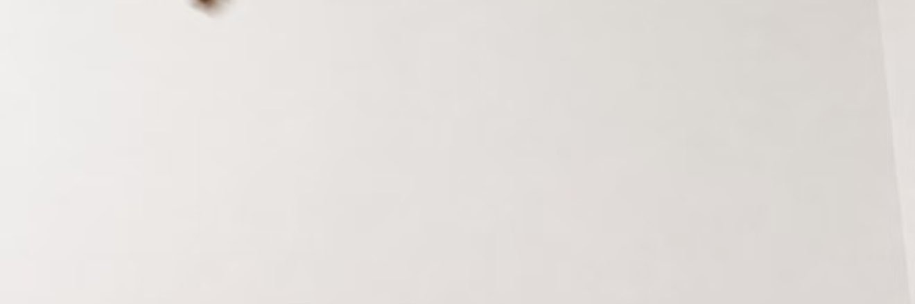 sareldewet's profile banner image