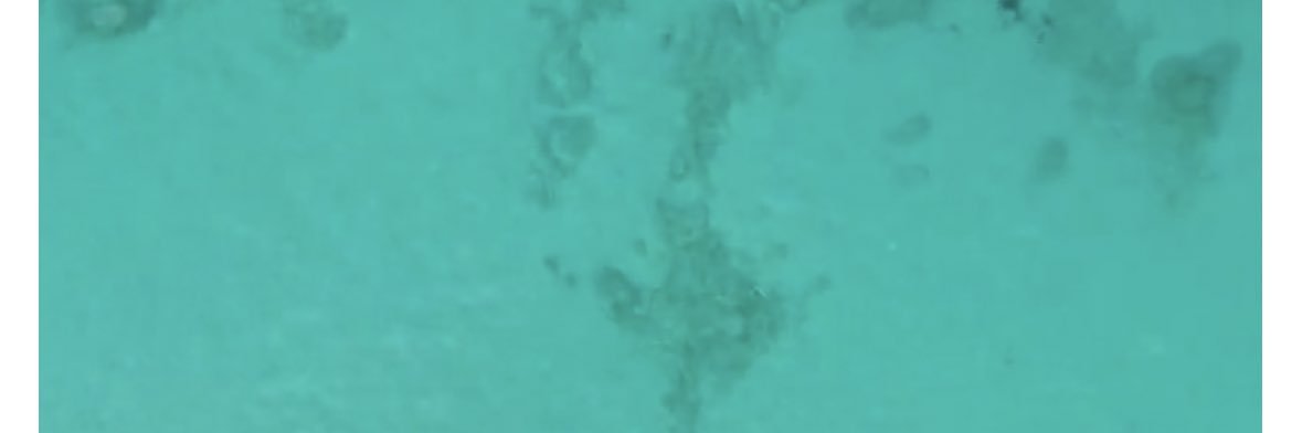 HeatherLHanson's profile banner image